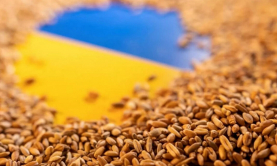 Fermierii vor lua foc! UE extinde lista cu alimentele ucrainene scutite de taxe