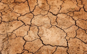 Australia ar putea să se confrunte în curând cu o serie de mega-secete