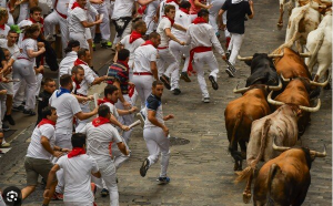 Au început cursele cu tauri de la Pamplona