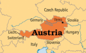 Europarlamentar: 'Austria a fost izolată!'