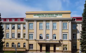 Școală de vară „Viitor student la USV Iași”