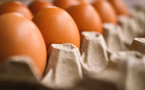 Ucraina va plăti taxe vamale pentru ouăle exportate în UE