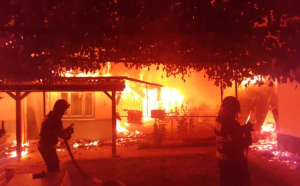 Case distruse la foc la Neamț