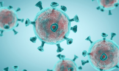 GRAFIC | Cât de mic este virusul SARS-CoV-2 în comparație cu firul de păr. Care este cel mai mic virus