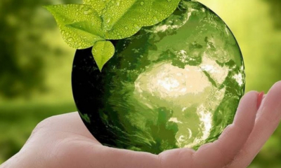 5 iunie, Ziua mondială a mediului înconjurător