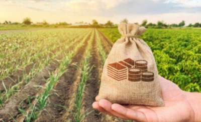  7 iunie, termenul limită pentru depunerea cererii de plată în Campania 2024 pentru fermieri