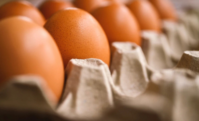 Ucraina va plăti taxe vamale pentru ouăle exportate în UE