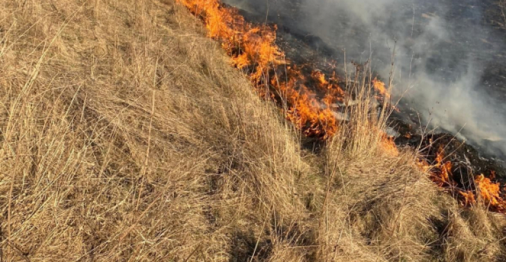 Suceava: 33 de incendii de vegetaţie, în ultimele 24 de ore