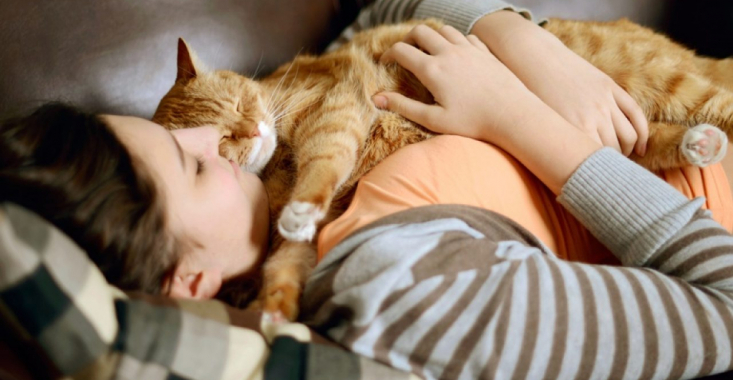 Terapia cu pisici. Are beneficii în tratarea articulațiilor și a bolilor ginecologice