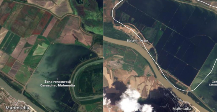 Controversă în Delta Dunării. Totul a început în iunie anul trecut