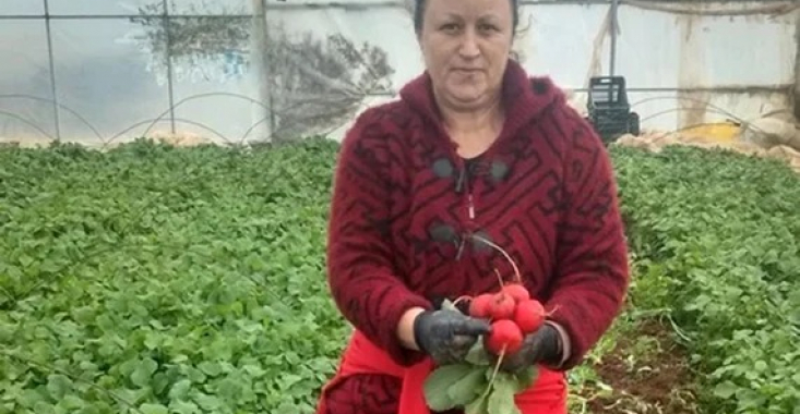 „Au venit ucrainenii şi au luat cam tot ce aveam”. Producătorii români, lăsați fără legume