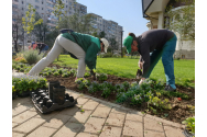 Zona Tudor Vladimirescu a intrat pe mâna peisagiştilor