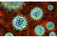 CORONAVIRUS Romania. Nou record de pacienti la ATI: 1.398. In ultimele 24 de ore au murit 120 de persoane