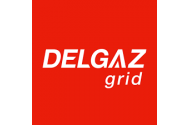 Delgaz Grid angajează urgent