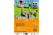 Curs de prim ajutor pentru animalele de companie, la „Animal Fest by USV”