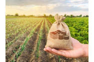  7 iunie, termenul limită pentru depunerea cererii de plată în Campania 2024 pentru fermieri