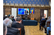  Geoană, la Iași: „În următorii 10 ani, România va depăşi Austria, ca PIB”