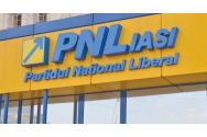 PNL a câștigat cele mai multe primării din județul Iași 