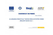 DEZVOLTAREA ACTIVITĂȚII FIRMEI BRILLIANT BLACK S.R.L