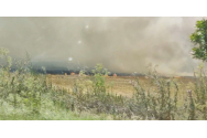 Incendiu de proporţii în Vaslui - Au ars 12 hectare de grâu şi 20 de hectare de vegetaţie uscată şi literă