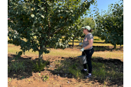 Studenții de la Agronomie se bat pe locurile de muncă din fermele Universității