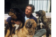 Alain Delon: Câinii mei nu m-au dezamăgit niciodată / Două gesturi uriașe făcute de actor pentru animalele nimănui