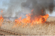 Autoritățile, în alertă din cauza incendiilor de vegetație