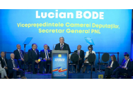 Geoană, Simion și Lasconi, atacați dur la Consiliul Național PNL: 'Toți trei fac jocul PSD la prezidențiale'