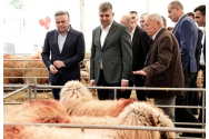 Subvenția agricolă din România printre cele mai mici la nivel european. Eșecul partidelor PSD și PNL