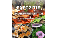 Expoziție de ciuperci comestibile şi toxice, în Grădina Botanică