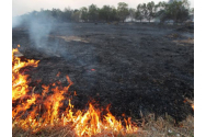 Incendiu pe 10 hectare de teren la Dofteana