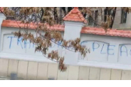 'Trădătorule, pleacă': Palatul Cotroceni, vandalizat chiar sub ochii SPP