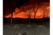 Incendiu puternic de vegetație în Delta Dunării, în zona localității Sulina