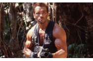 Viața sexuală a lui Schwarzenegger, dată în vileag de amantă: „Face amor de 5 ori pe zi! Corpul lui este imposibil”