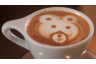 VIDEO/FOTO - Ce diferență este între cappuccino, latte, mocha?