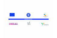 Finalizare proiect Școala de antreprenoriat „România Start Up Plus” în regiunea Nord-Est