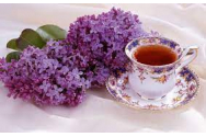  Terapii complementare - Cum se prepară ceaiul de liliac