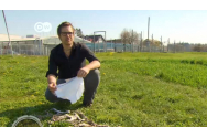 Elvețienii își îngroapă chiloții în grădină