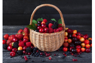 Vremea rece va diminua substanțial recolta de fructe