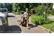 Un austriac și câinele său au mers pe jos peste 1.300 de kilometri pentru a ajunge la Reghin
