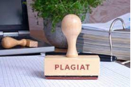 Softurile antiplagiat nu înlocuiesc comisiile de experți în analizarea plagiatelor