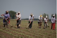  Peste jumătate dintre fermierii Moldovei sunt pensionari!