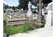 Concurs inedit la Suceava - „Cel mai îngrijit cimitir”