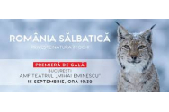 FOTO/VIDEO - A fost lansat videoclipul documentarului „România sălbatică