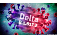 Anunț BOMBĂ despre virusul Delta