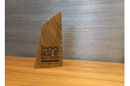 Ansamblul mixt Palas a primit „Premiul de excelență pentru contribuția la dezvoltarea economică regională” în cadrul Galei Forbes România Best Cities For Business