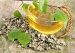  Ceaiul din frunze de mesteacăn, ajutor în bolile renale și gută