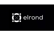 Unicornul românesc Elrond a cumpărat compania Capital Financial Services, deținătoarea primei licențe de e-money din România