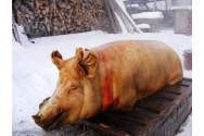 Un bărbat din Brașov și-a tăiat porcul în casă. Vecinii au sunat la 112