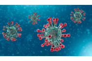 Doi ani de la prima știre despre coronavirus: O „epidemie de pneumonie” despre care autorităție dădeau asigurări că nu va ajunge și la noi